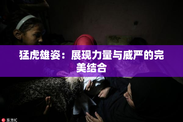 猛虎雄姿：展现力量与威严的完美结合