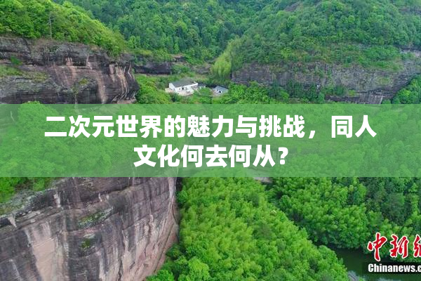 二次元世界的魅力与挑战，同人文化何去何从？