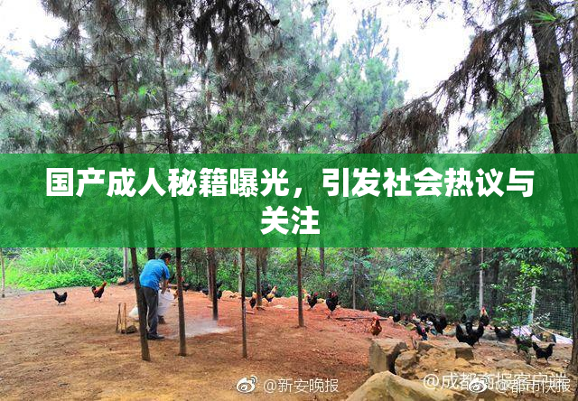 国产成人秘籍曝光，引发社会热议与关注