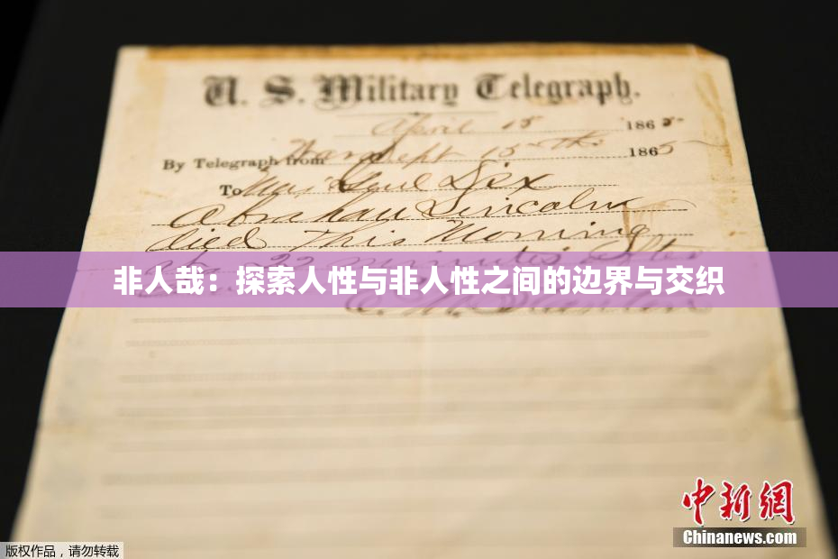 非人哉：探索人性与非人性之间的边界与交织