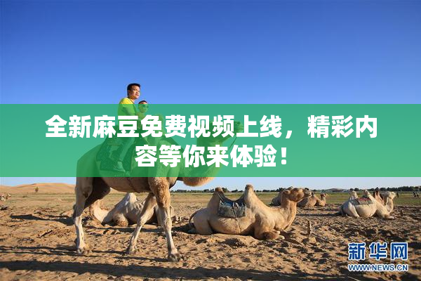 全新麻豆免费视频上线，精彩内容等你来体验！