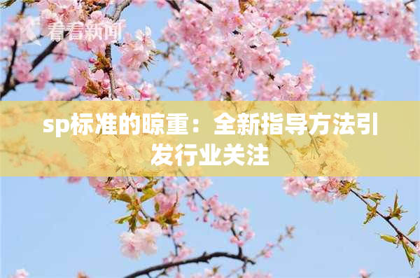 sp标准的晾重：全新指导方法引发行业关注