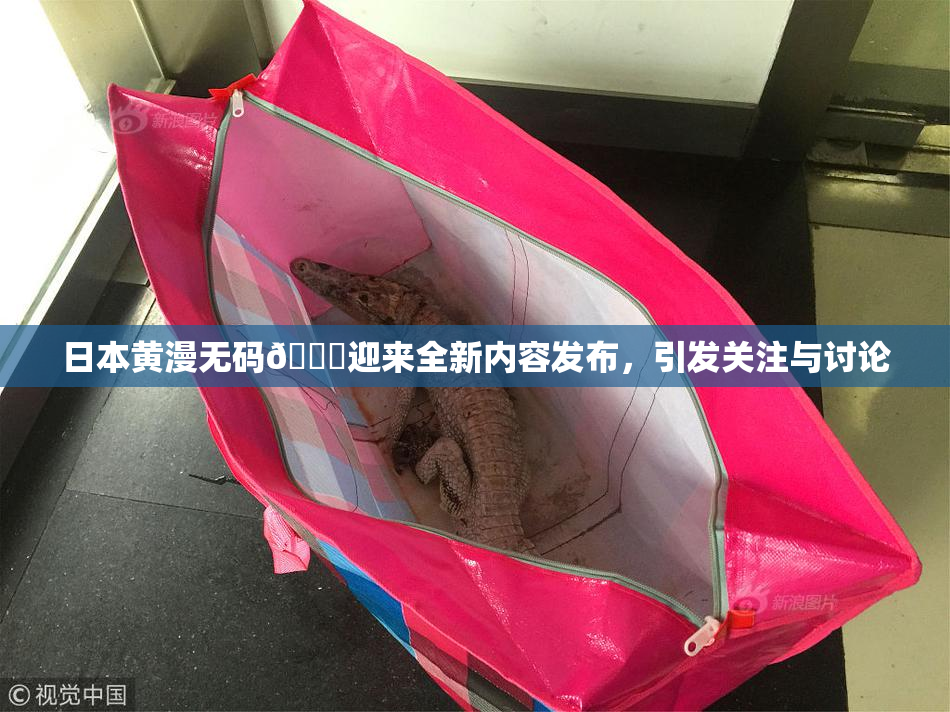 日本黄漫无码🔞迎来全新内容发布，引发关注与讨论
