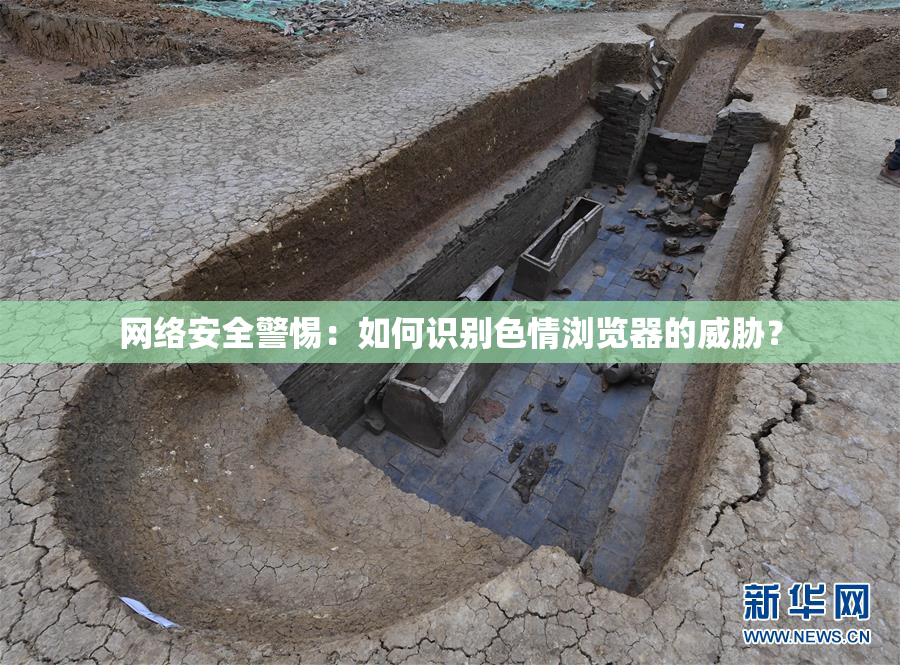网络安全警惕：如何识别色情浏览器的威胁？