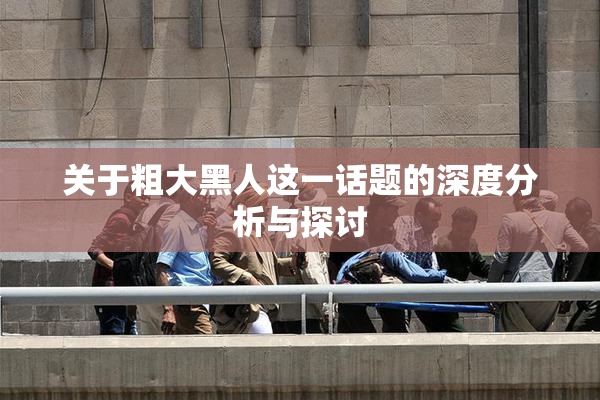 关于粗大黑人这一话题的深度分析与探讨
