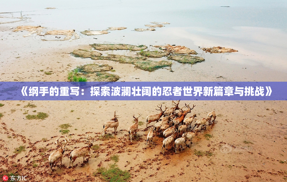 《纲手的重写：探索波澜壮阔的忍者世界新篇章与挑战》