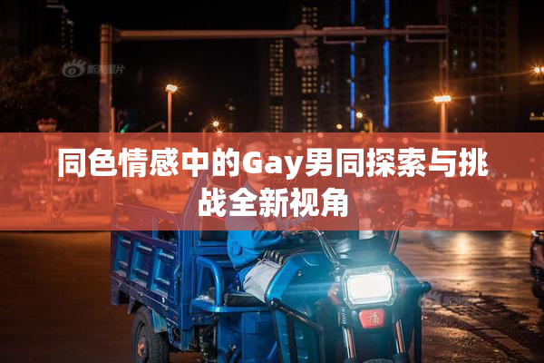 同色情感中的Gay男同探索与挑战全新视角