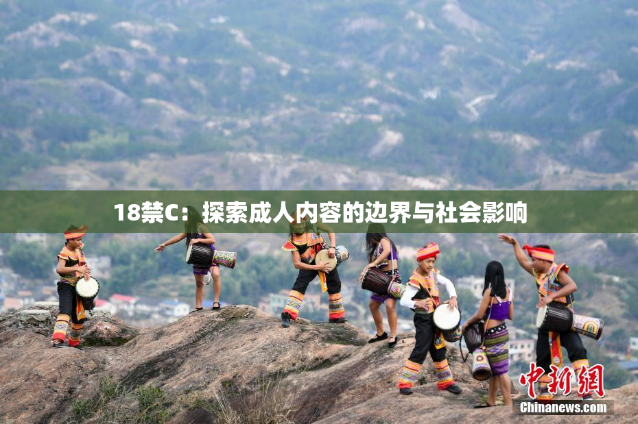 18禁C：探索成人内容的边界与社会影响