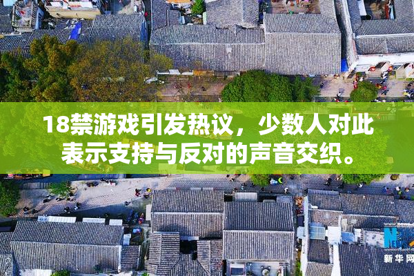 18禁游戏引发热议，少数人对此表示支持与反对的声音交织。