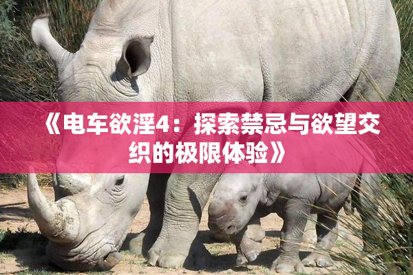《电车欲淫4：探索禁忌与欲望交织的极限体验》