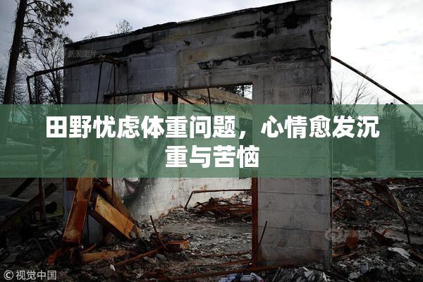 田野忧虑体重问题，心情愈发沉重与苦恼