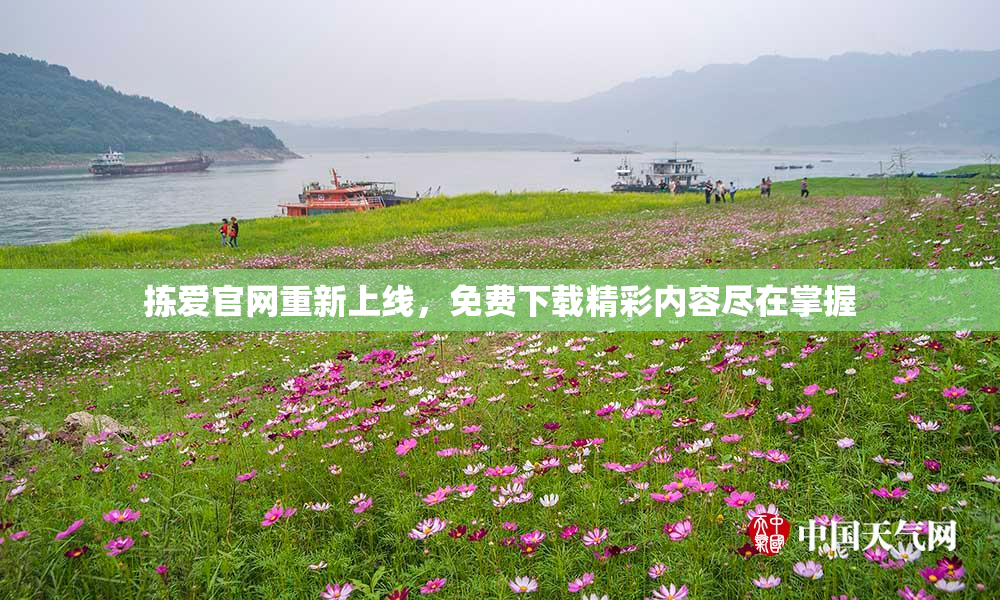 拣爱官网重新上线，免费下载精彩内容尽在掌握