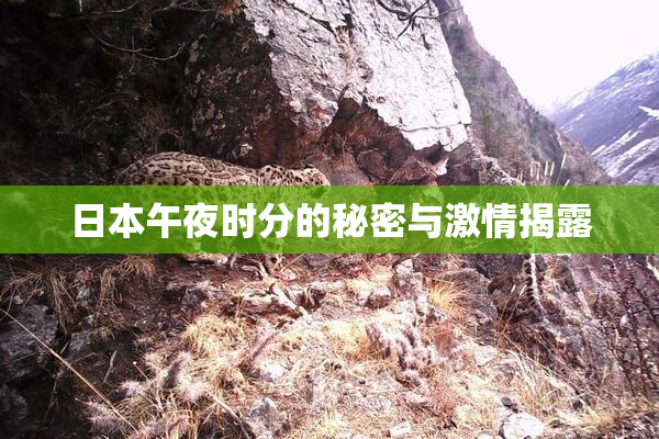 日本午夜时分的秘密与激情揭露