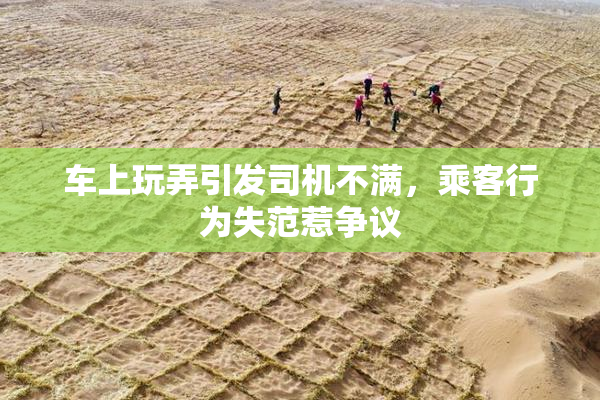 车上玩弄引发司机不满，乘客行为失范惹争议