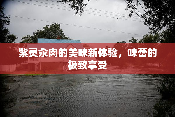 紫灵汆肉的美味新体验，味蕾的极致享受