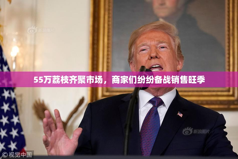 55万荔枝齐聚市场，商家们纷纷备战销售旺季