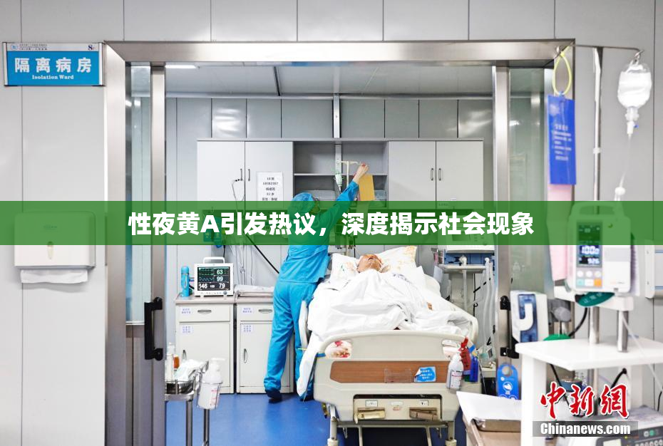 性夜黄A引发热议，深度揭示社会现象