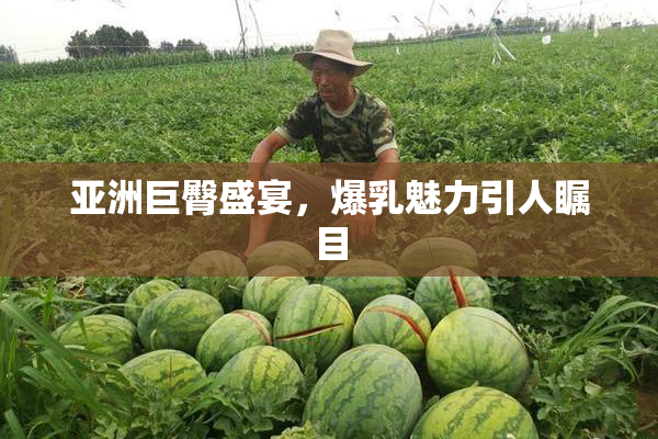 亚洲巨臀盛宴，爆乳魅力引人瞩目