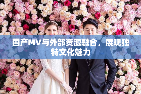 国产MV与外部资源融合，展现独特文化魅力