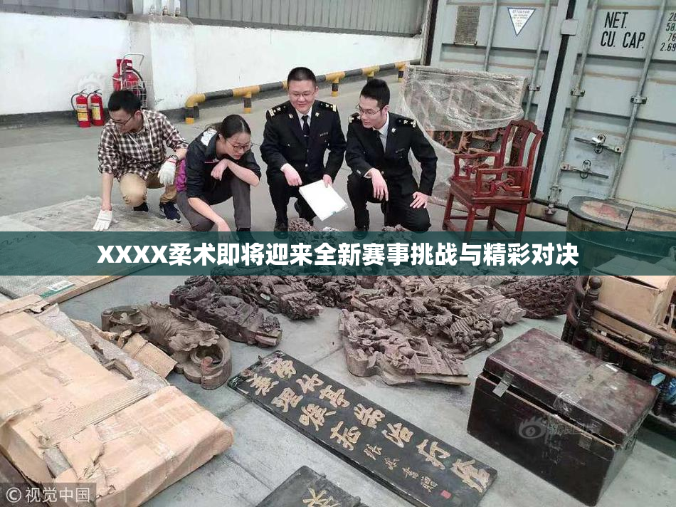 XXXX柔术即将迎来全新赛事挑战与精彩对决