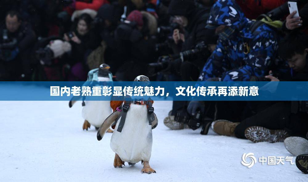 国内老熟重彰显传统魅力，文化传承再添新意