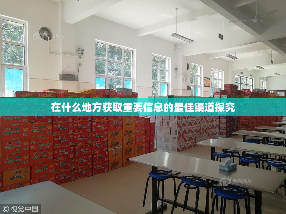 在什么地方获取重要信息的最佳渠道探究