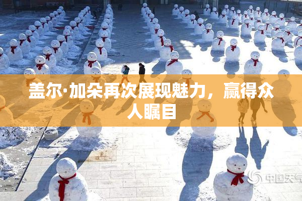 盖尔·加朵再次展现魅力，赢得众人瞩目