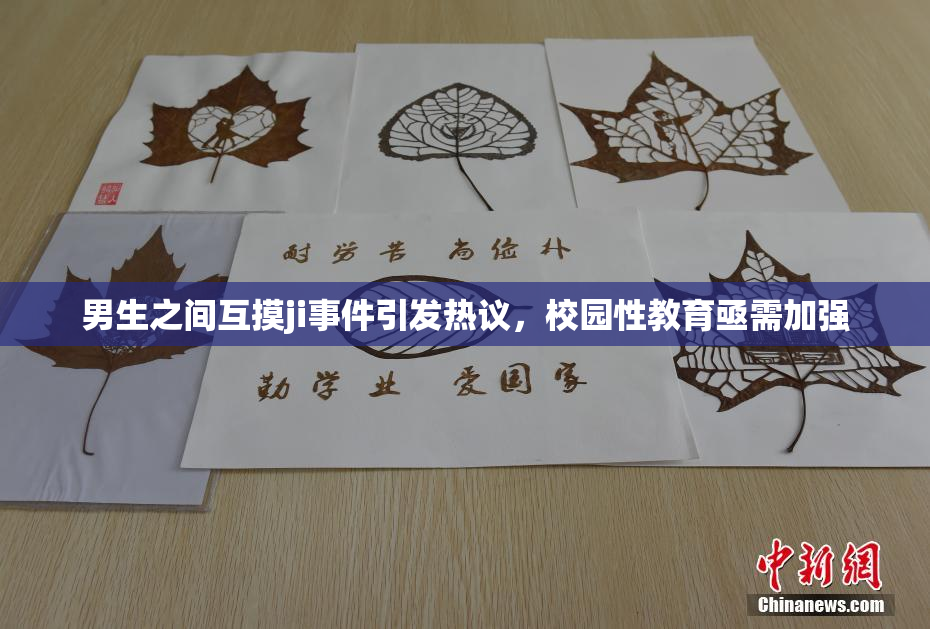 男生之间互摸ji事件引发热议，校园性教育亟需加强
