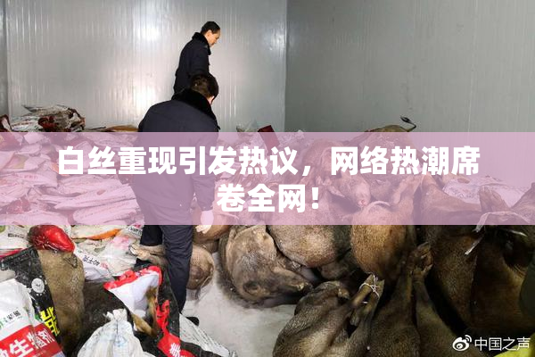 白丝重现引发热议，网络热潮席卷全网！