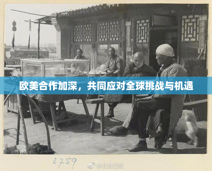 欧美合作加深，共同应对全球挑战与机遇