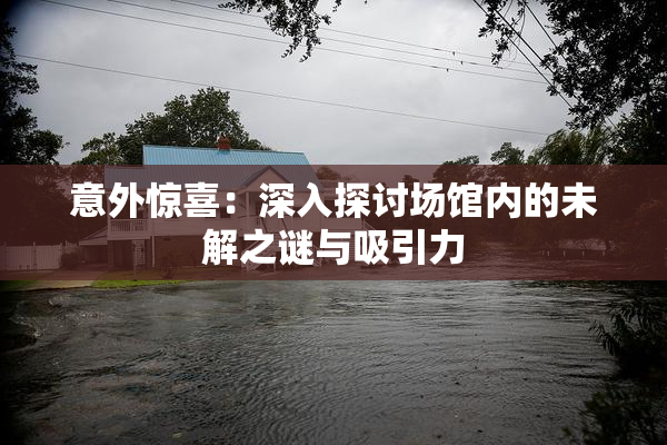 意外惊喜：深入探讨场馆内的未解之谜与吸引力