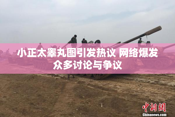 小正太睾丸图引发热议 网络爆发众多讨论与争议