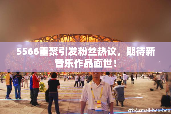 5566重聚引发粉丝热议，期待新音乐作品面世！