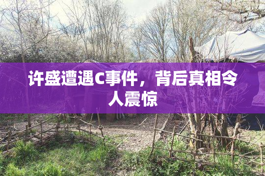 许盛遭遇C事件，背后真相令人震惊