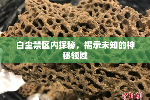 白尘禁区内探秘，揭示未知的神秘领域