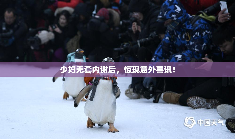 少妇无套内谢后，惊现意外喜讯！