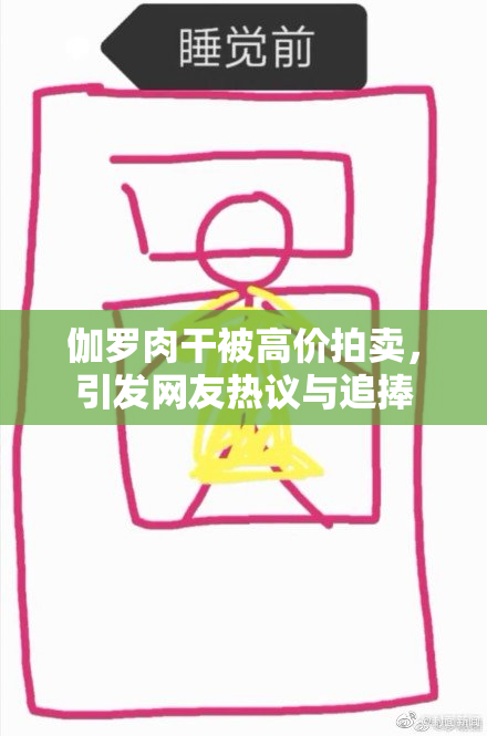伽罗肉干被高价拍卖，引发网友热议与追捧