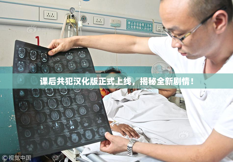 课后共犯汉化版正式上线，揭秘全新剧情！