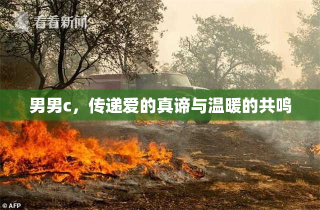 男男c，传递爱的真谛与温暖的共鸣