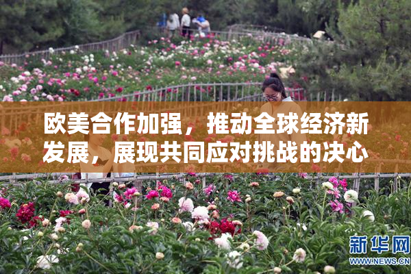 欧美合作加强，推动全球经济新发展，展现共同应对挑战的决心