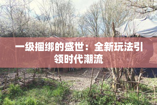 一级捆绑的盛世：全新玩法引领时代潮流