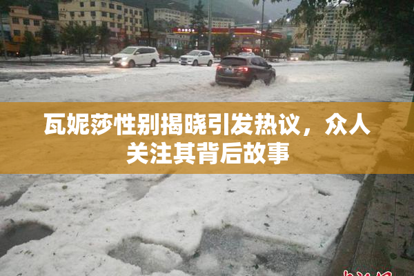 瓦妮莎性别揭晓引发热议，众人关注其背后故事