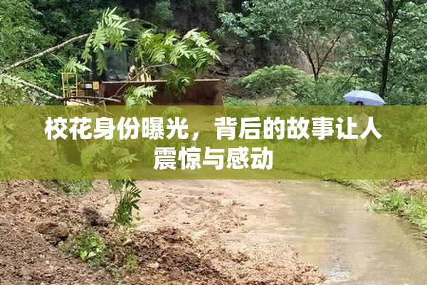 校花身份曝光，背后的故事让人震惊与感动