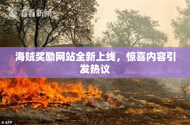 海贼奖励网站全新上线，惊喜内容引发热议