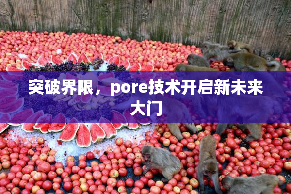 突破界限，pore技术开启新未来大门