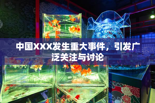中国XXX发生重大事件，引发广泛关注与讨论