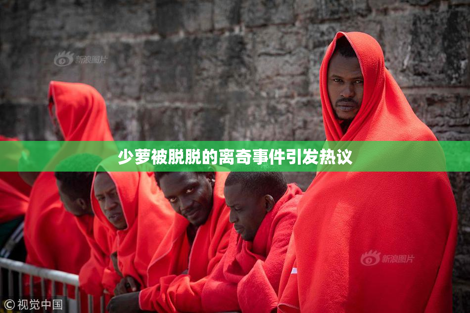 少萝被脱脱的离奇事件引发热议