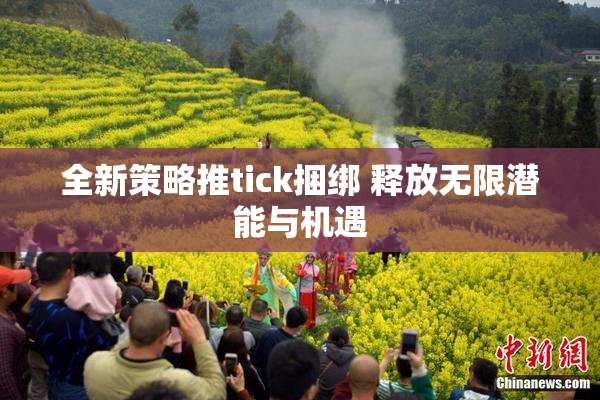 全新策略推tick捆绑 释放无限潜能与机遇