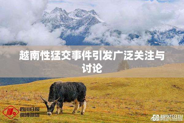 越南性猛交事件引发广泛关注与讨论