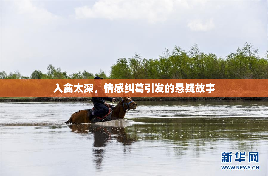 入禽太深，情感纠葛引发的悬疑故事